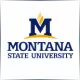 Montana State University - Aerospace School Ranking